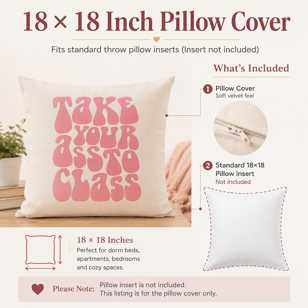 Take Your Ass to Class Funny Dorm Pillow Cover, College Move-in Gift for Daughter from Parents, Double-Sided Velvet Cushion Case for Dorm Room or Student Apartment, Cover Only